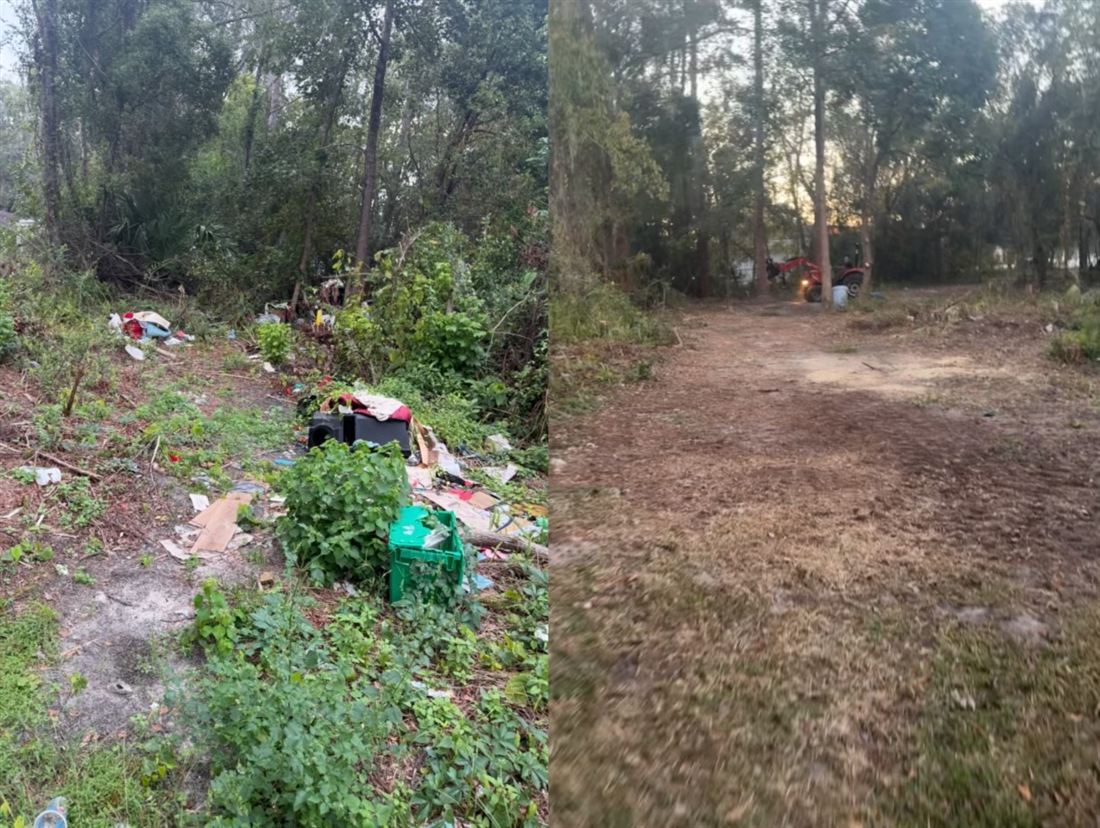 Brush clearing in progress